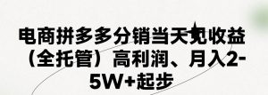最新拼多多模式日入4K+两天销量过百单，无学费、 老运营代操作、小白福…倾城领域-倾城领域