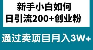新手小白日引流200+创业粉,通过卖项目月入3W+倾城领域-倾城领域