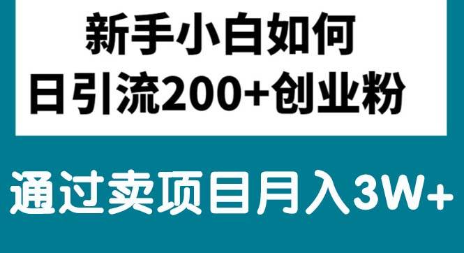 新手小白日引流200+创业粉,通过卖项目月入3W+倾城领域-倾城领域