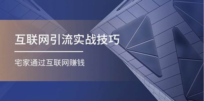 互联网引流实操技巧(适合微商，吸引宝妈)，宅家通过互联网赚钱（17节）倾城领域-倾城领域