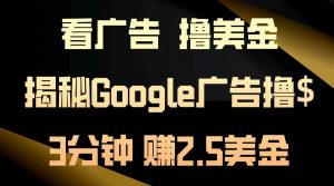看广告，撸美金！3分钟赚2.5美金！日入200美金不是梦！揭秘Google广告…倾城领域-倾城领域