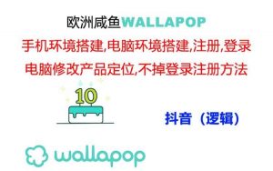 wallapop整套详细闭环流程：最稳定封号率低的一个操作账号的办法倾城领域-倾城领域