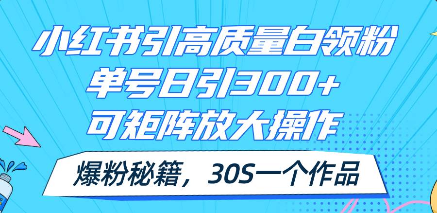 小红书引高质量白领粉，单号日引300+，可放大操作，爆粉秘籍！30s一个作品倾城领域-倾城领域
