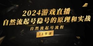 2024游戏直播-自然流起号稳号的原理和实战，自然流起号流程（11节）倾城领域-倾城领域