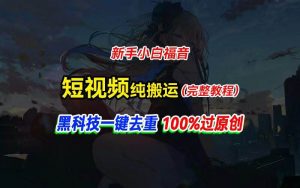 中视频计划纯搬运，黑科技一键去重过原创，新手小白福音，轻松日入大几百倾城领域-倾城领域