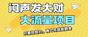 闷声发大财，大流量项目，月收益过3万，只要你努力，两个月就能翻身倾城领域-倾城领域