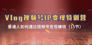 Vlog 视频号IP变现特训营，普通人如何通过视频号变现赚钱（15节）倾城领域-倾城领域