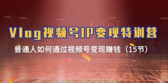 Vlog 视频号IP变现特训营，普通人如何通过视频号变现赚钱（15节）倾城领域-倾城领域