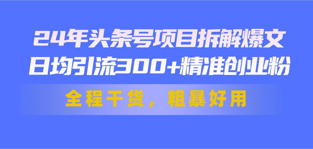 24年头条号项目拆解爆文，日均引流300+精准创业粉，全程干货，粗暴好用倾城领域-倾城领域