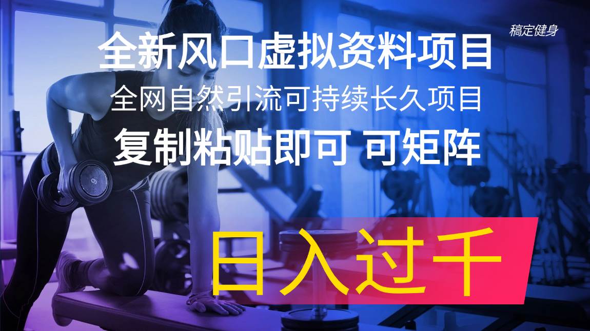 全新风口虚拟资料项目 全网自然引流可持续长久项目 复制粘贴即可可矩阵…倾城领域-倾城领域