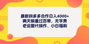 最新拼多多项目日入4000+两天销量过百单，无学费、老运营代操作、小白福利倾城领域-倾城领域