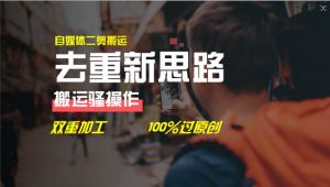 去重新思路，详细教你自媒体视频二剪搬运技术，自己加工双重去重100%过…倾城领域-倾城领域