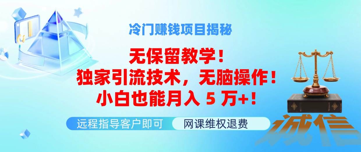 冷门赚钱项目无保留教学！独家引流技术，无脑操作！小白也能月入5万+！倾城领域-倾城领域