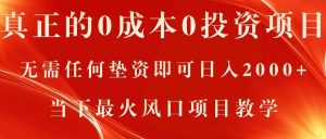 真正的0成本0投资项目，无需任何垫资即可日入2000+，当下最火风口项目教学倾城领域-倾城领域