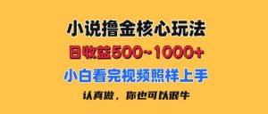 小说撸金核心玩法，日收益500-1000+，小白看完照样上手，0成本有手就行倾城领域-倾城领域