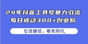 24年抖音工具号暴力引流，每日被动300+创业粉，创业粉捷径，卷死同行倾城领域-倾城领域