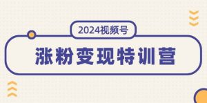 2024视频号-涨粉变现特训营：一站式打造稳定视频号涨粉变现模式（10节）倾城领域-倾城领域