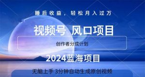 2024蓝海项目，3分钟自动生成视频，月入过万倾城领域-倾城领域