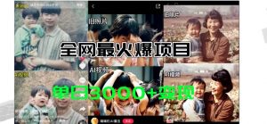 全网爆火的AI让老照片动起来教程，蹭热点日赚3000+，内含免费工具一键…倾城领域-倾城领域