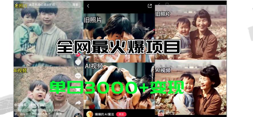 全网爆火的AI让老照片动起来教程，蹭热点日赚3000+，内含免费工具一键…倾城领域-倾城领域