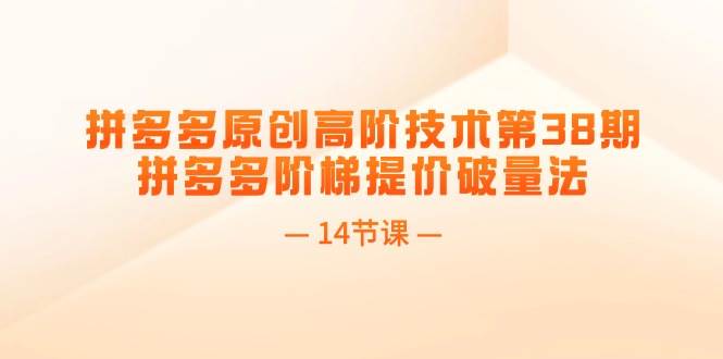 拼多多原创高阶技术第38期，拼多多阶梯提价破量法（14节课）倾城领域-倾城领域