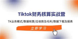 Tiktok财务核算实战营：TK业务模式/数据核算/应收款及毛利/数据下载及报表倾城领域-倾城领域