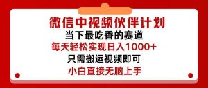 微信中视频伙伴计划，仅靠搬运就能轻松实现日入500+，关键操作还简单，…倾城领域-倾城领域