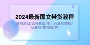2024最新图文带货教程：新号启动/老号转型/半小时涨3000粉/找素材/剪辑倾城领域-倾城领域