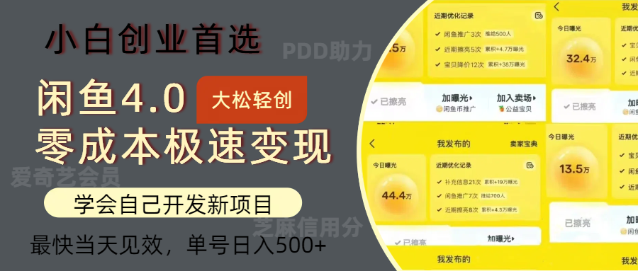 闲鱼0成本极速变现项目，多种变现方式，单号日入500+最新玩法倾城领域-倾城领域