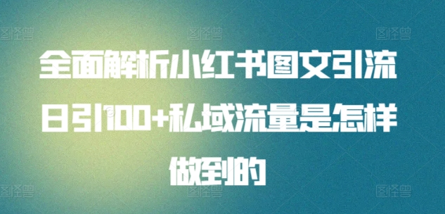 日引流100私域流量小红书图文是怎样做到的全面解析倾城领域-倾城领域