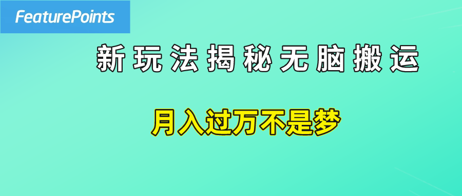 简单操作，每天50美元收入，搬运就是赚钱的秘诀！倾城领域-倾城领域