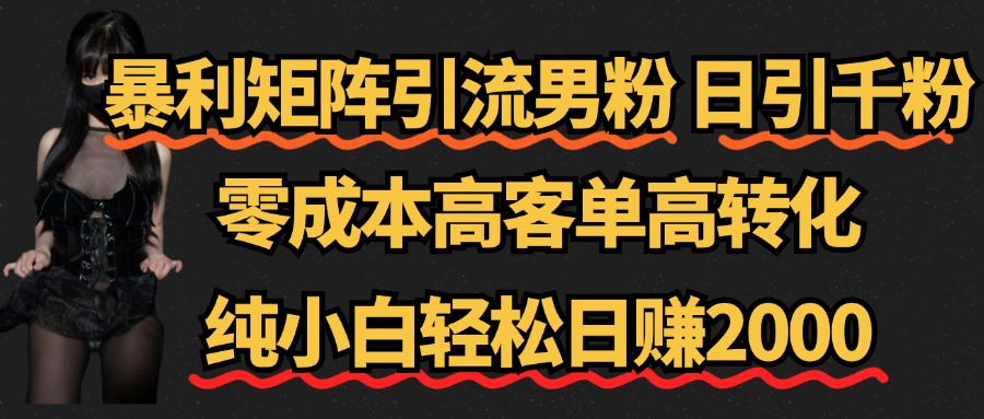 暴利矩阵引流男粉（日引千粉），零成本高客单高转化，纯小白轻松日赚2000+倾城领域-倾城领域