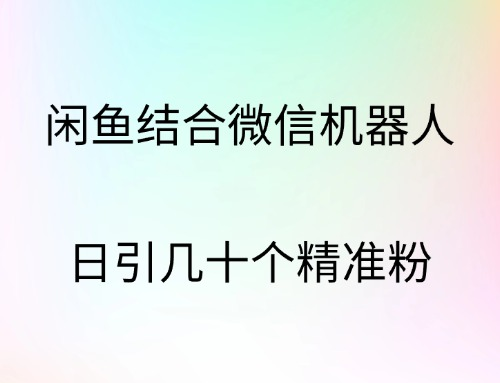 闲鱼结合微信机器人，日引几十个精准粉倾城领域-倾城领域