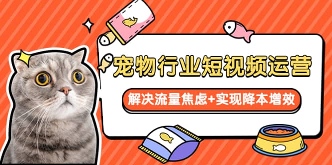 宠物/行业短视频运营 流量增长的一层窗户纸 解决流量焦虑+实现降本增效倾城领域-倾城领域