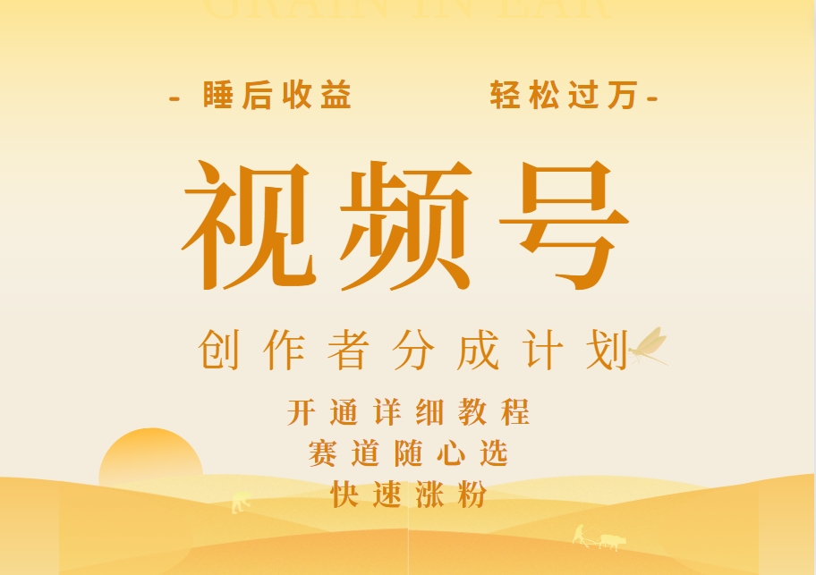 详解视频号创作者分成计划，暴力起号，可同步多平台，实现睡后收入2W+，看懂即可操作！倾城领域-倾城领域