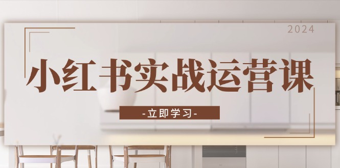 小红书实战运营课：从开通店铺到直播话术，打造爆款笔记与高效直播倾城领域-倾城领域