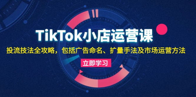 TikTok小店运营课：投流技法全攻略，包括广告命名 扩量手法及市场运营方法倾城领域-倾城领域