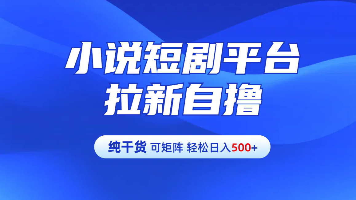 【纯干货】小说短剧平台拉新自撸玩法详解-单人轻松日入500+倾城领域-倾城领域