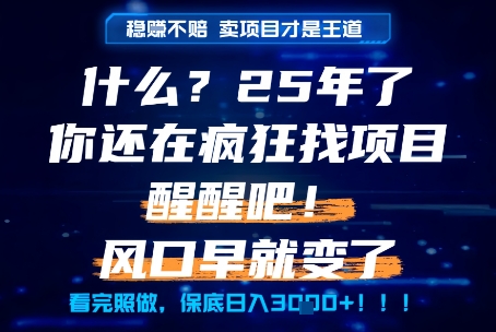 什么？25年你还在疯狂找项目做，醒醒吧，看完这些你全都懂了！【揭秘】倾城领域-倾城领域