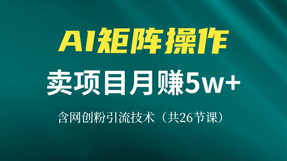 网创IP打造课，借助AI卖项目月赚5万+，含引流技术(共26节课倾城领域-倾城领域