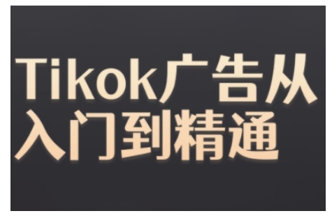 Tiktok Ads实操教程，Tiktok广告从入门到精通倾城领域-倾城领域