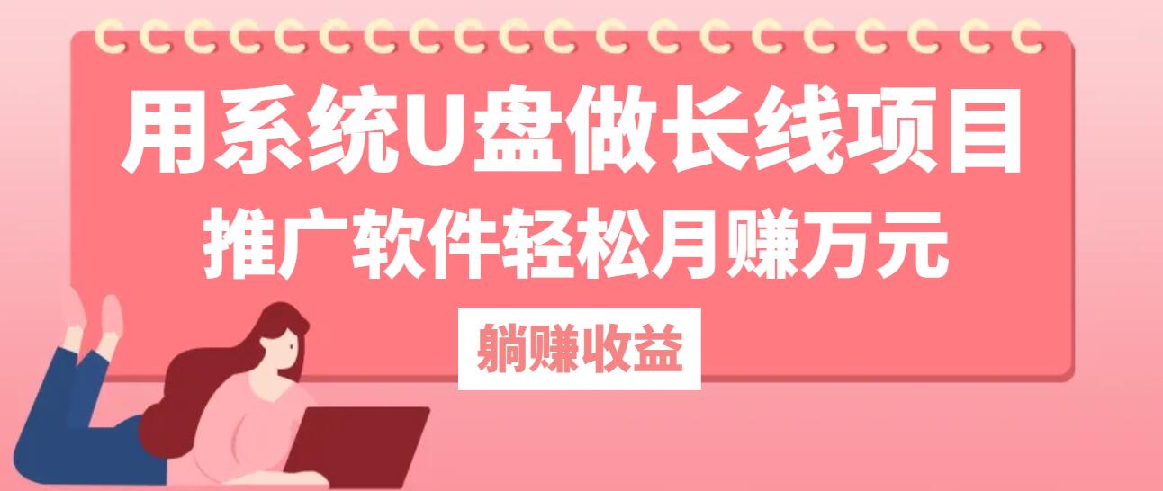 用系统U盘做长线项目，推广软件轻松月赚万元倾城领域-倾城领域