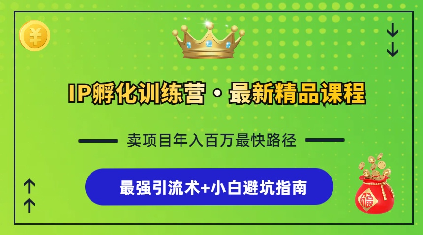 IP孵化训练营，知识付费全流程+最强引流术+小白避坑指南倾城领域-倾城领域