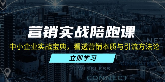 营销实战陪跑课：中小企业实战宝典，看透营销本质与引流方法论倾城领域-倾城领域