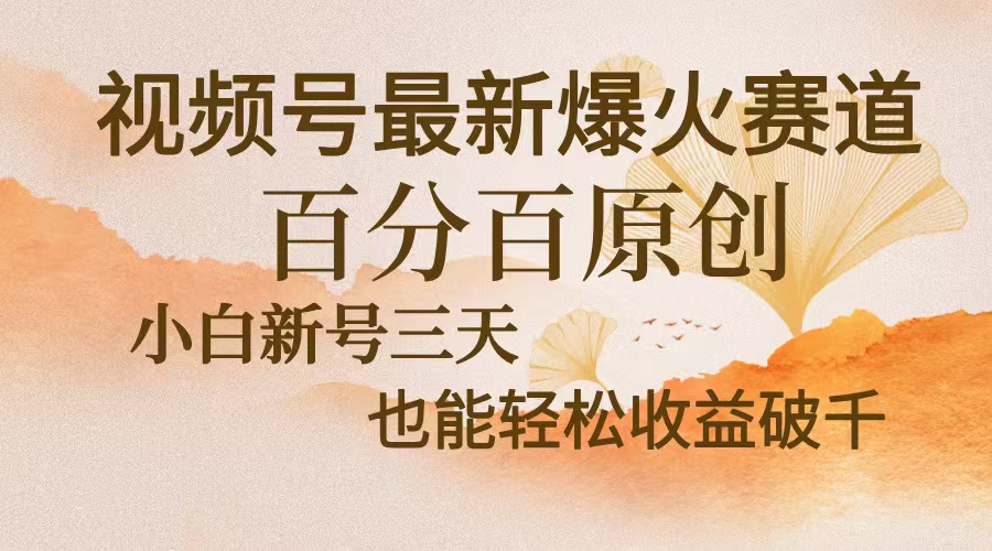 视频号最新爆火赛道，中老年粉深信不疑，百分百原创，新号三天收益轻松...倾城领域-倾城领域