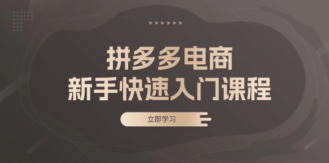 拼多多电商新手快速入门课程：涵盖基础、实战与选款，助力小白轻松上手倾城领域-倾城领域