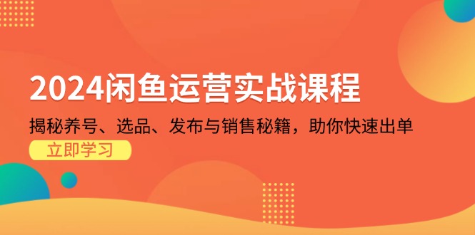 2024闲鱼运营实战课程：揭秘养号、选品、发布与销售秘籍，助你快速出单倾城领域-倾城领域