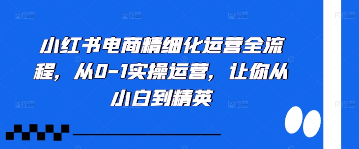 小红书电商精细化运营全流程，从0-1实操运营，让你从小白到精英倾城领域-倾城领域
