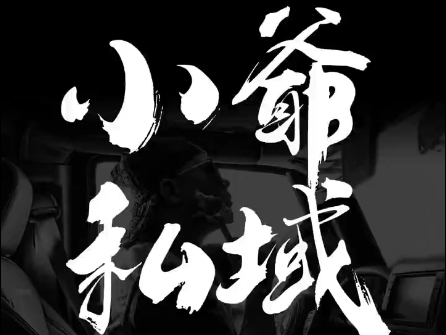 小爷·私域项目操盘手倾城领域-倾城领域