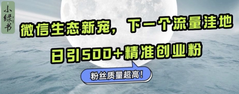微信生态新宠小绿书：下一个流量洼地，日引500+精准创业粉，粉丝质量超高倾城领域-倾城领域
